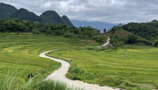 Rice terraces in Pù Luông, Vietnam