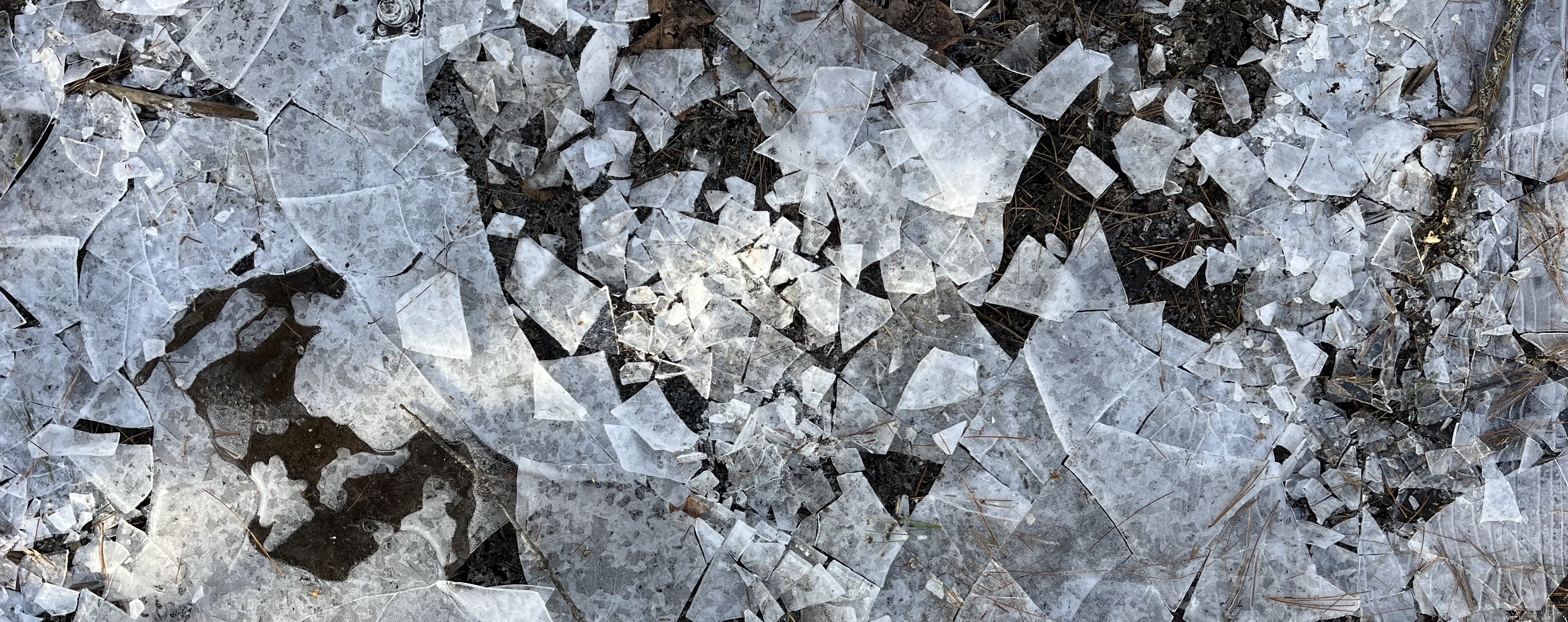 Migrating PodLP from JavaScript to TypeScript using OpenCode